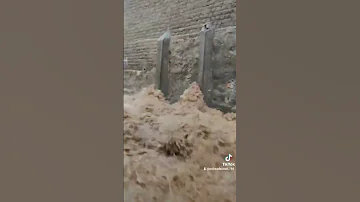 Https Vt Tiktok Com ZSHGRMLT44b8Y 7TLCt 