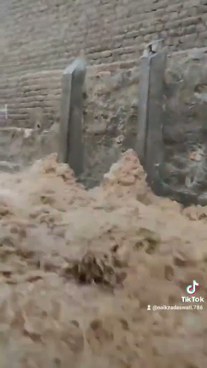 https://vt.tiktok.com/ZSHGRMLT44b8Y-7TLCt/