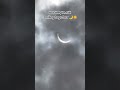 my 1st solar eclipse viewing #shorts #short #youtubeshorts