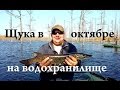 Щука в октябре на водохранилище FishinGaltsev 2015