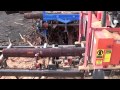 Timber king for sale Timber king for sale