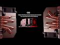Dynatron C2 – Advanced Active Cooling for Next-Gen Intel Servers.