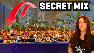 Why Vermiculite is the Secret to Perfect Seed Germination!