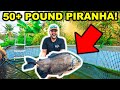 Catching a 50lb+ PIRANHA with My BARE HANDS!!! (ft. Catch Em All Fishing)