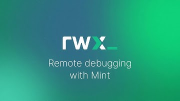 Remote Debugging with Mint CI/CD