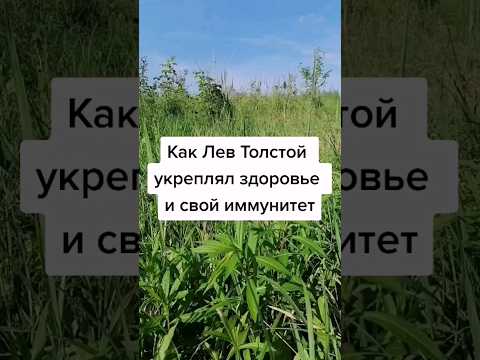 Как Лев Толстой укреплял здоровье и свой иммунитет. #здоровье #зож #советы