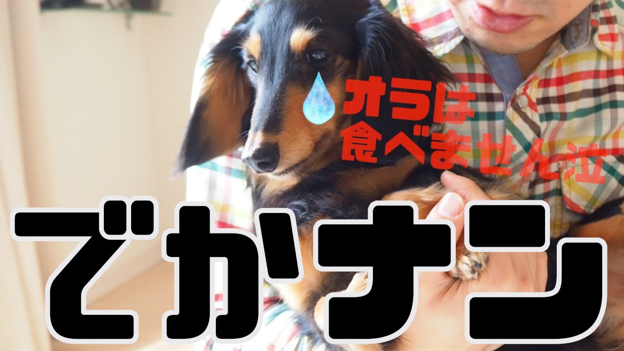 八王子 テイクアウトランチ バーミヤンのテイクアウト Youtube