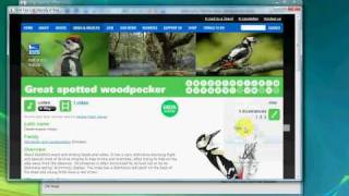 Add a bird to the world bird database