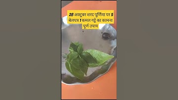 #28अक्टूबर शरद पूर्णिमा पर 5 बेलपत्र 1 कमलगट्टे का कामना पूर्ण उपाय#bhajan #pradeep#shorts#upay#shiv