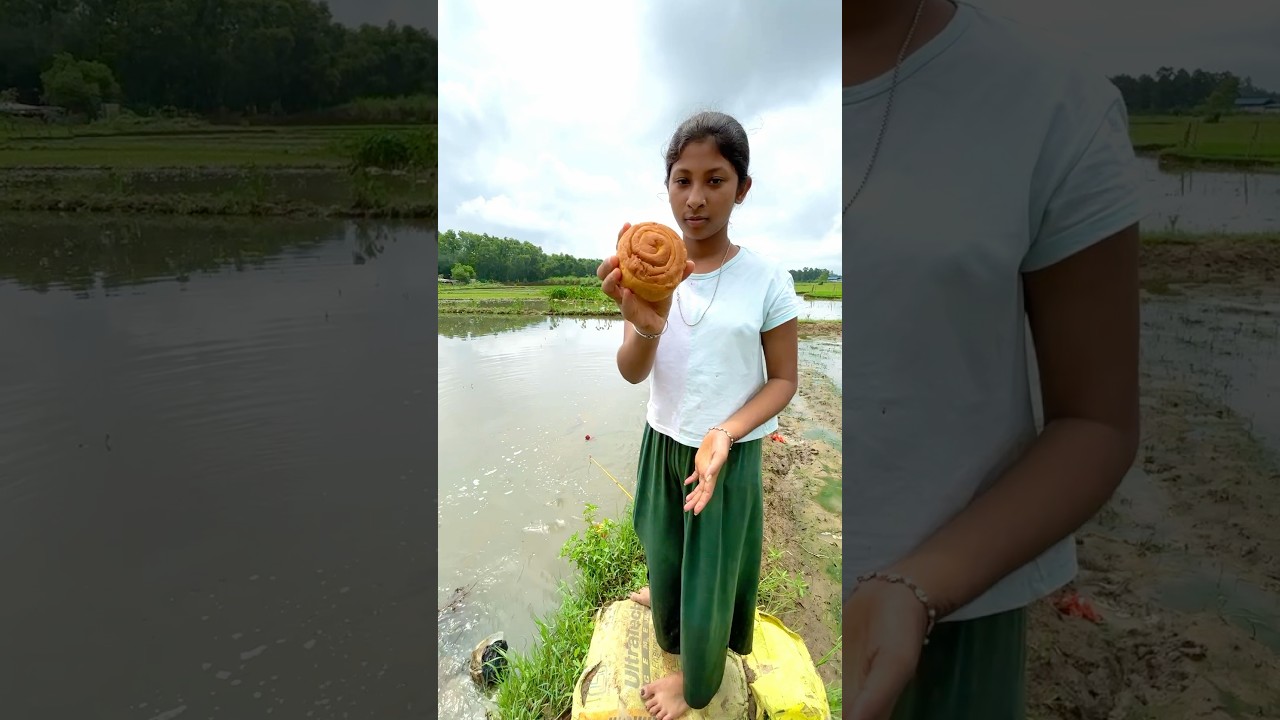 Beautiful girl catching fish in the mud water field using food 