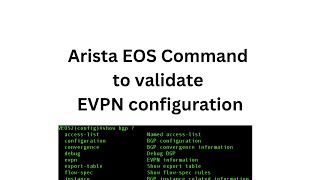 Arista EVPN configuration syntax checker