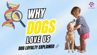 5 KEY Genetic Secrets Behind Canine Devotion You Need to Know NOW