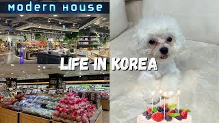 LIFE IN KOREA 🇰🇷 Shopping at Modern House & Kim's Club 🛒🛍   Ellie's 1st Birthday 🎂🎁