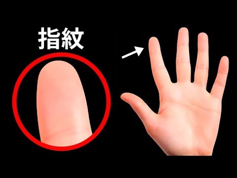 指紋がなかったらどうなる?
