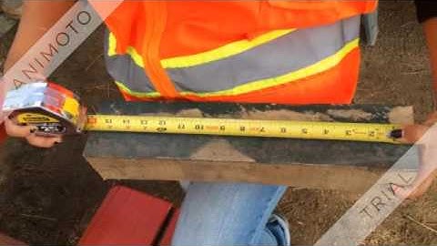 My Service Learning Experience