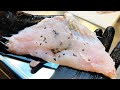 釣った魚に大量の寄生虫がいたので食べてみた
