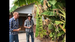 How To Construct A Healthy Soil | Interview with Master Gardener