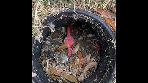 How to drain your sprinkler system for extreme cold weather in Texas