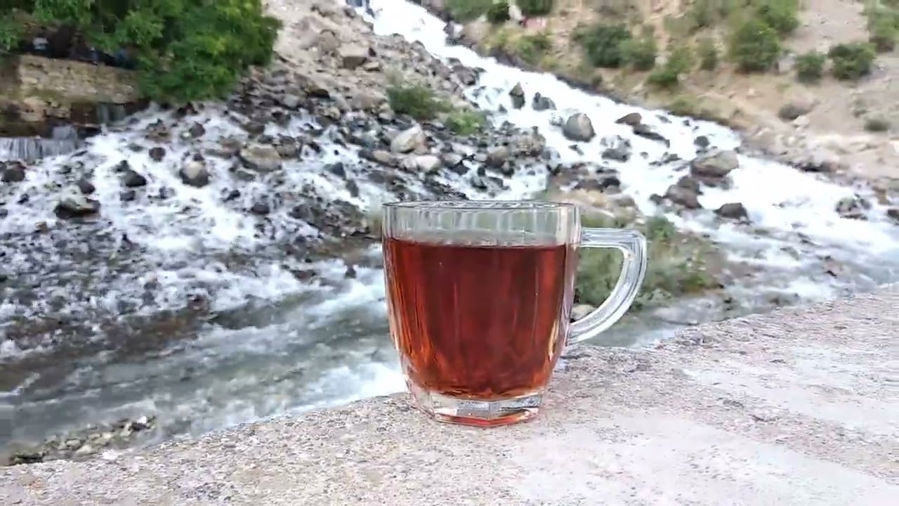 Van çatak kani sıpi