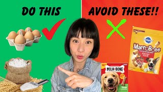 Avoid Store-Bought! Easy Recipe for Homemade Dog Treats by Meet the Chows 243 views 6 months ago 3 minutes, 32 seconds