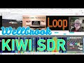 Kiwi SDR &amp; Wellbrook 1530 Aktiv Loop ► Kurzwelle, LW MW, USB LSB CW ► #shortwave