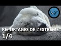 S03E54 : Reportages de l