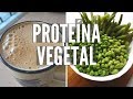 LO QUE COMO EN UN DÍA PARA BAJAR DE PESO - MUCHA PROTEÍNA VEGETAL