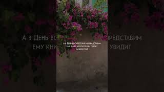 Хамид аш-Шамси