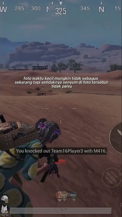 Story WA PUBG