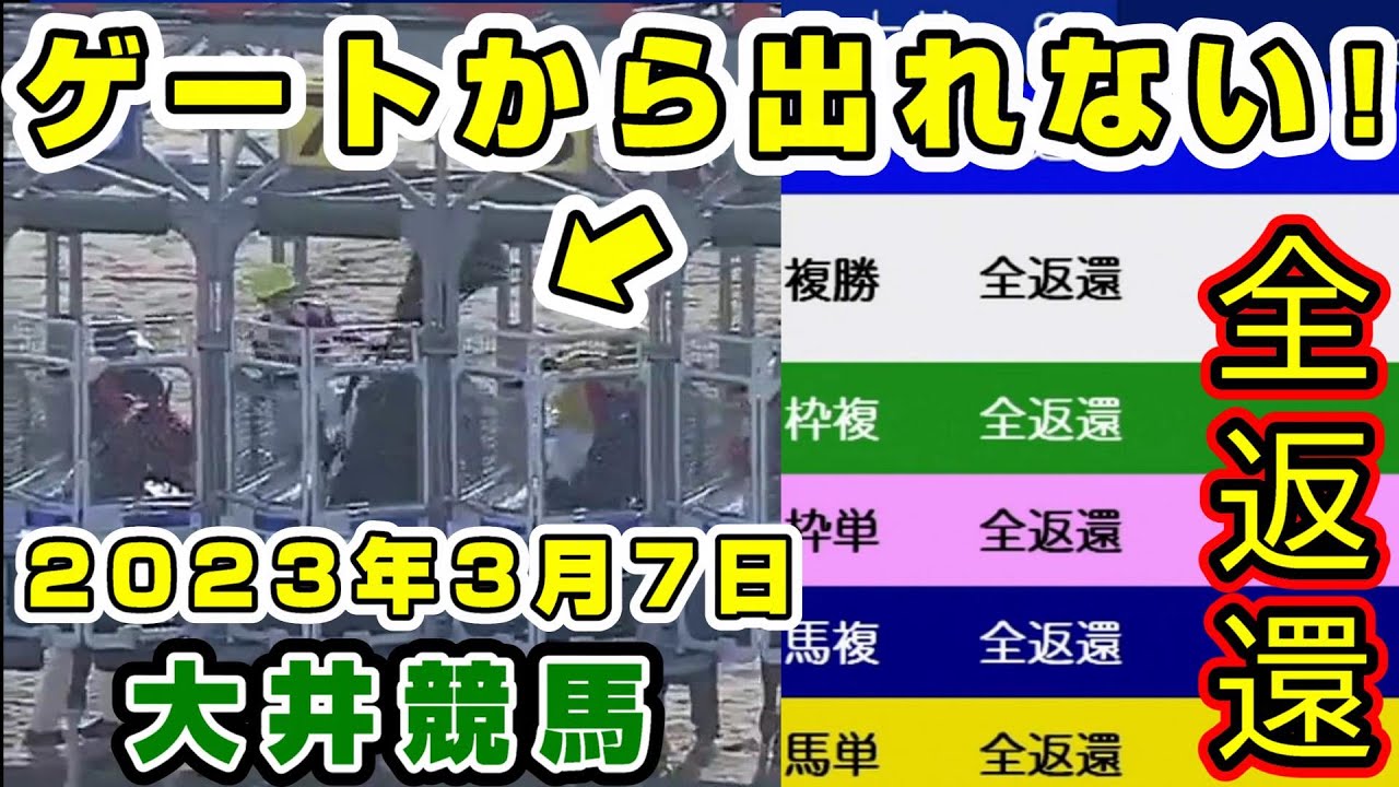 【大井競馬】 激レア 馬がゲートから出られなくなり全返還 2023年3月7日　第8レース  地方競馬