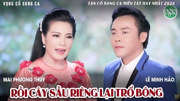 TÂN CỔ SONG CA MIỀN TÂY HAY NHẤT 2024 - RỒI CÂY SẦU RIÊNG LẠI TRỔ BÔNG - PHƯƠNG THÚY X LÊ MINH HẢO
