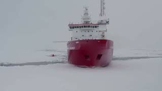 Shackleton&#39;s ship &#39;Endurance&#39; found beneath Antarctic ice, 100 years on