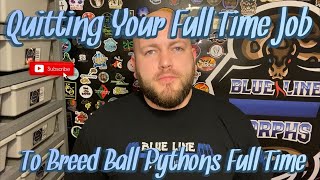Should I Quit My Full Time Job And Breed Ball Pythons Full Time? Profile