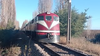 Persecusión Entre Renaico y Rucapequen Patio Del Tren Diurno Temuco - Santiago
