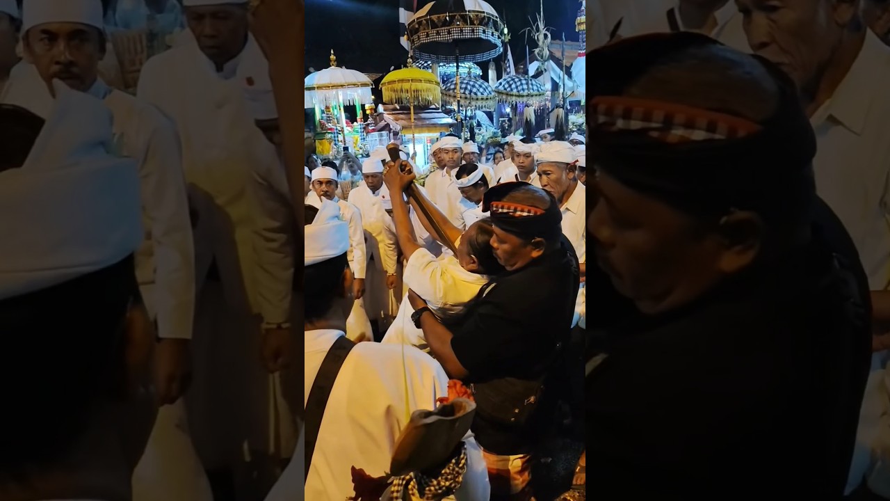 Nguying ‼️Balinese Tradition 