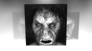 Crime / Horror Music Audionautix / free copyright music download / Corruption / copyright Free music screenshot 1