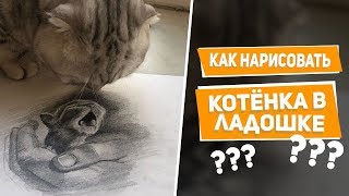 Рисуем котенка маленького Рисуем котенка маленького