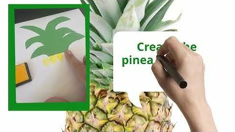 Pineapple Fun
