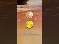 What’s hiding in Grand Prismatic Spring?