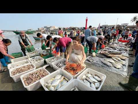Seafood from Chinese fishing ports, fish markets on the beaches of MaoMing, GuangDong.