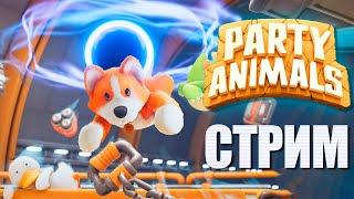 ИГРАЮ В PARTY ANIMALS С РАНДОМАМИ ► СТРИМЧЕСТЕР #256 ВЕСЕЛЫЙ СТРИМ