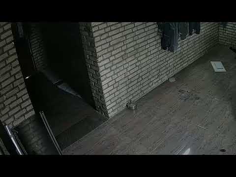 موش سراشپز بدونه ترس و در حال دزدیدن ضروف غذا