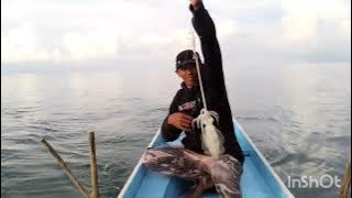 pemburu tinta hitam,mancing nus karang(irfani hajirin channel)
