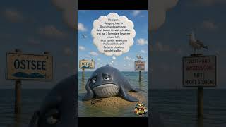 Timmy🥲#wal #lustigereels #shortvideo #dergastronom #humor #timmy #ostsee #satire #gestrandet