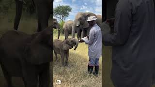 Setombe, This Milk Bottle Is Not For You by HERD Elephant Orphanage South Africa 19,552 views 1 month ago 3 minutes, 11 seconds