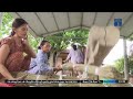 🔴 Bản tin trưa 13/1/2025 | VTC1