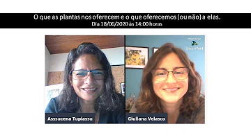 O que as plantas nos fornecem?