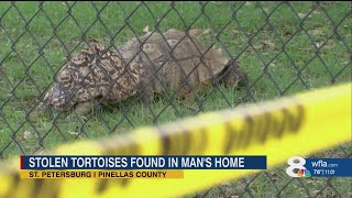 St. Pete man accused of stealing rare books, tortoises worth thousands