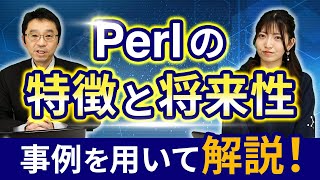 徹底解説Perlの特徴と将来性について