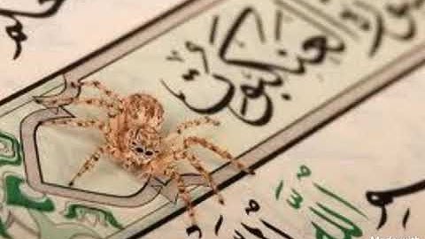 سورة العنكبوت للشيخ خالد الجليل